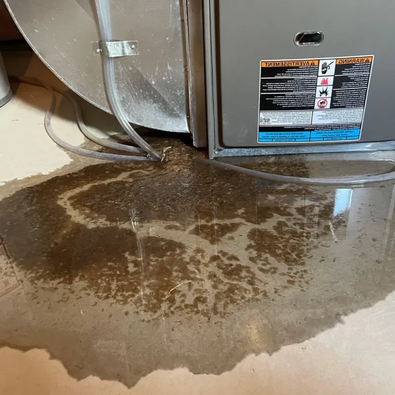 Pipe Burst and Leak Restoration in White House, TN